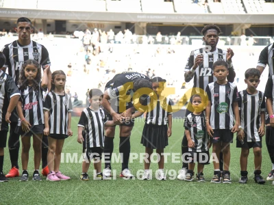 Detalhes da foto #8098407