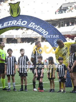 Detalhes da foto #8856569