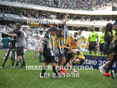 Detalhes da foto #4299227