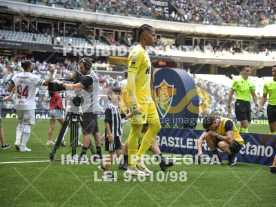 Detalhes da foto #2963666