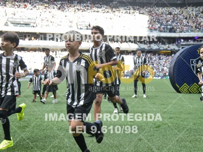 Detalhes da foto #1165076