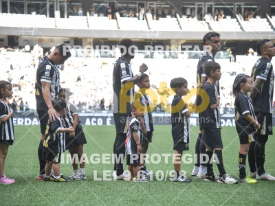 Detalhes da foto #3935334