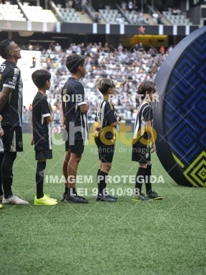 Detalhes da foto #1074783