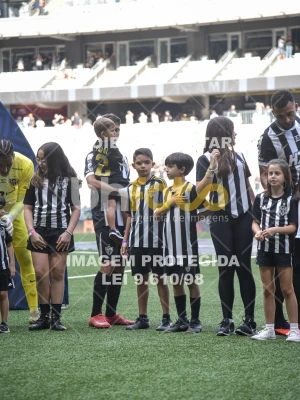 Detalhes da foto #4084324