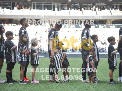 Detalhes da foto #4672346