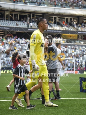 Detalhes da foto #7199979