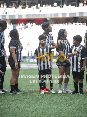 Detalhes da foto #4083382