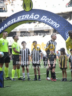 Detalhes da foto #1521329