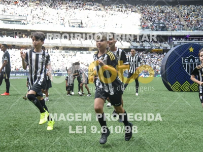 Detalhes da foto #8247672