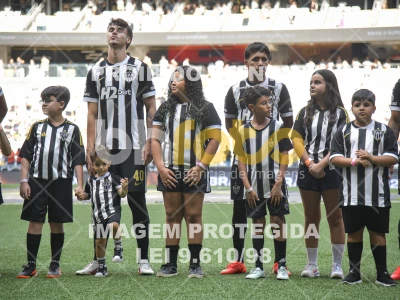 Detalhes da foto #8479291