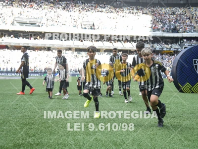 Detalhes da foto #8808047