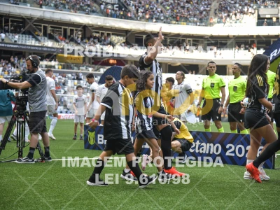 Detalhes da foto #8283539