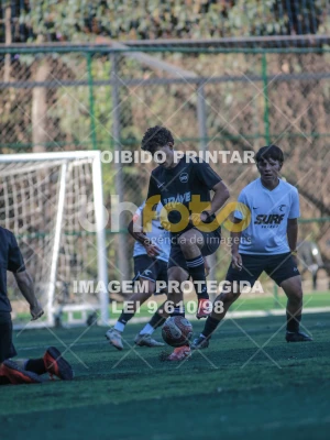 Detalhes da foto #2089450