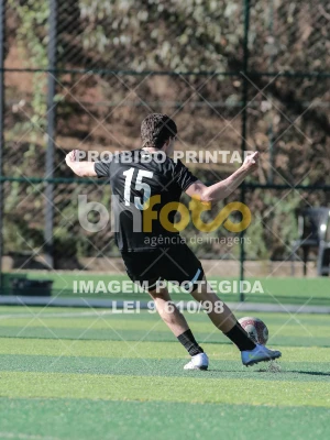 Detalhes da foto #3585982
