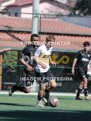 Detalhes da foto #8583147