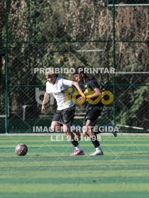 Detalhes da foto #2398613