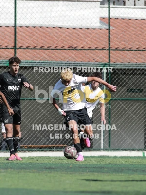 Detalhes da foto #3617559