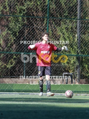 Detalhes da foto #8305846