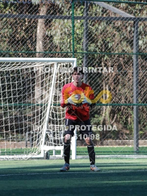 Detalhes da foto #2832171