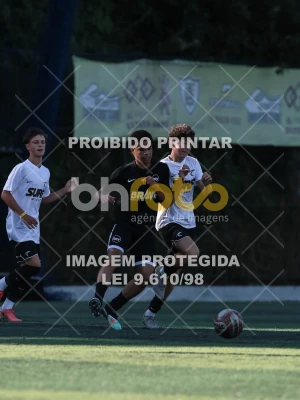 Detalhes da foto #5278225