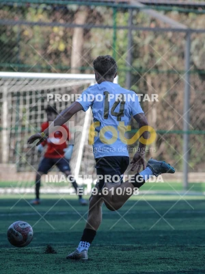 Detalhes da foto #3382154