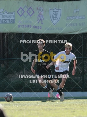 Detalhes da foto #8731130