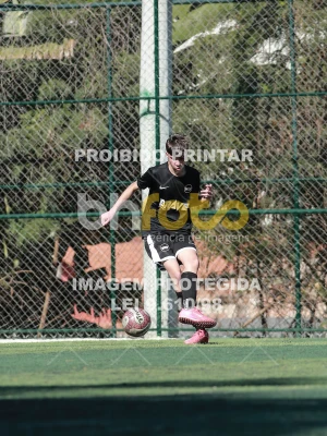 Detalhes da foto #8984734