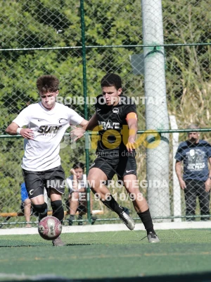 Detalhes da foto #4017690