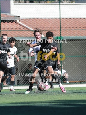 Detalhes da foto #9848827