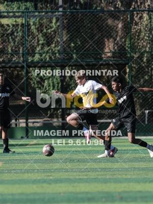 Detalhes da foto #4286818