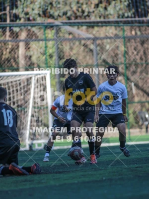 Detalhes da foto #5118065