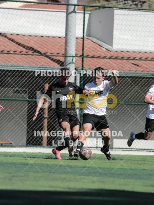 Detalhes da foto #1548760