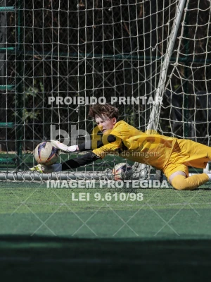 Detalhes da foto #7009972