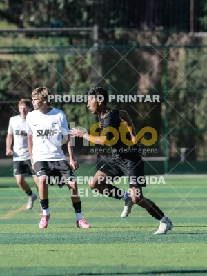 Detalhes da foto #8236714