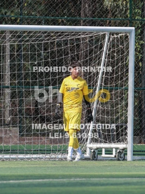 Detalhes da foto #3500165