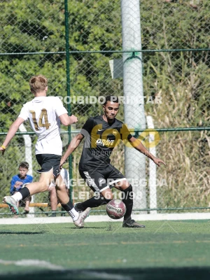 Detalhes da foto #4519351