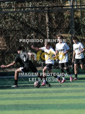 Detalhes da foto #4650903