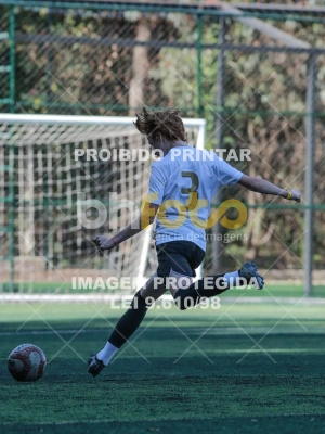 Detalhes da foto #4461150