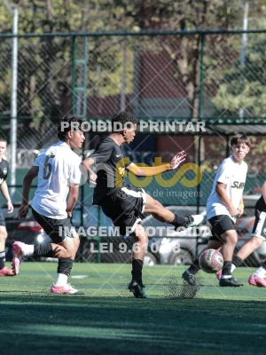 Detalhes da foto #8553125