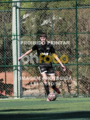 Detalhes da foto #3703352