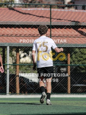 Detalhes da foto #4185049