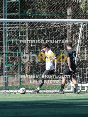 Detalhes da foto #8318154