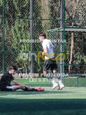 Detalhes da foto #4436199