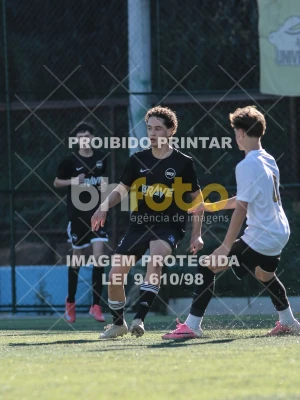 Detalhes da foto #4333804