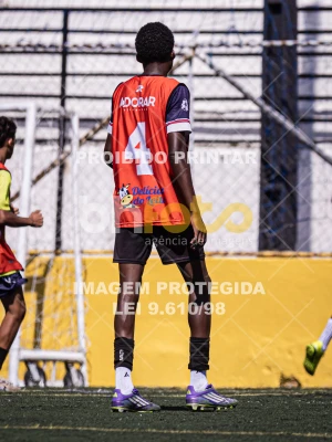 Detalhes da foto #8639364