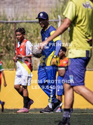 Detalhes da foto #8535316