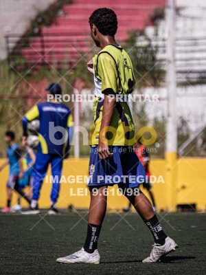 Detalhes da foto #3426996