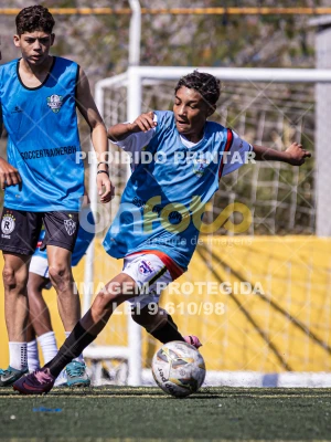 Detalhes da foto #4161280