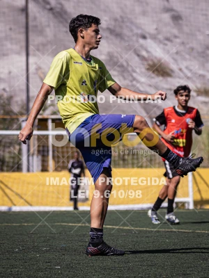 Detalhes da foto #8081440