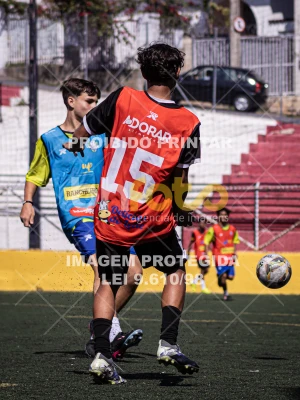 Detalhes da foto #5687492